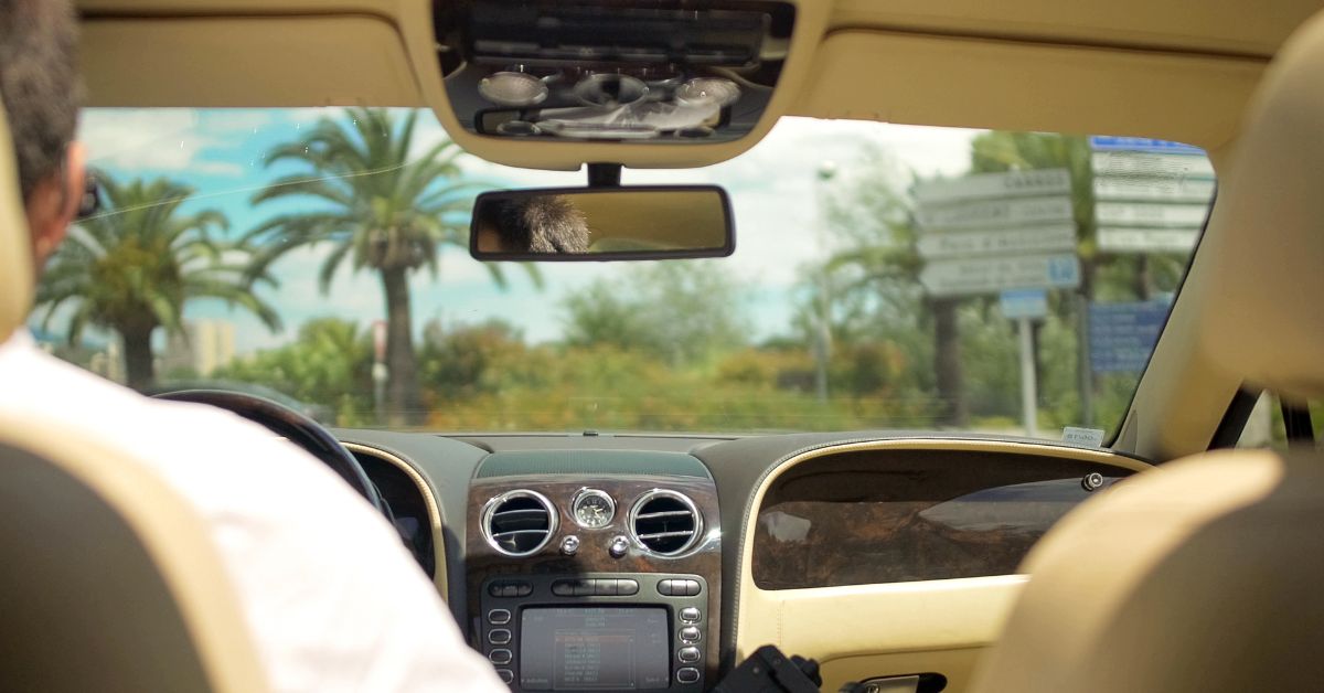 Interior view of a luxury car from the back seat, showing the driver, dashboard, and rear-view mirror, with palm trees and road signs visible through the windshield on a sunny day.