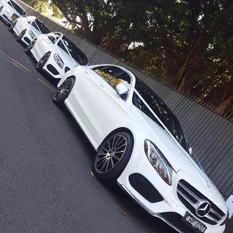 A row of HF Wedding Cars including Mercedes and Rolls Royce.