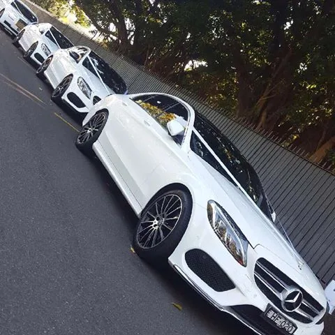 A row of HF Wedding Cars including Mercedes and Rolls Royce.
